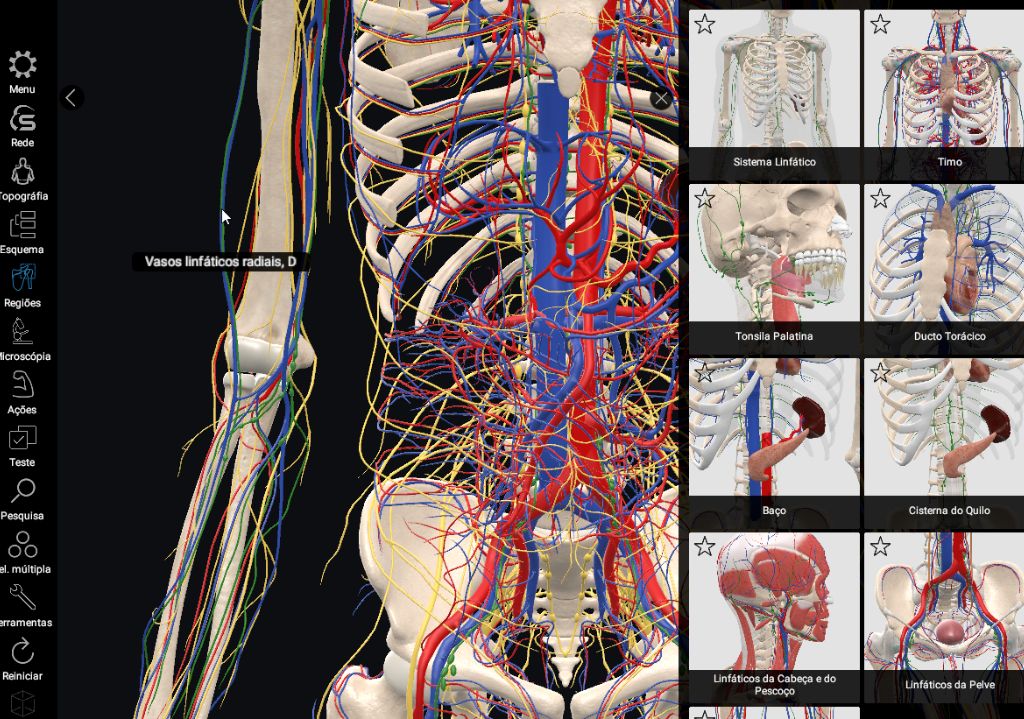 3D Body Scanner - Premier Healthcare Germany