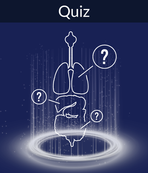 Quiz feature graphic from the lobby in 3D Organon's anatomy software