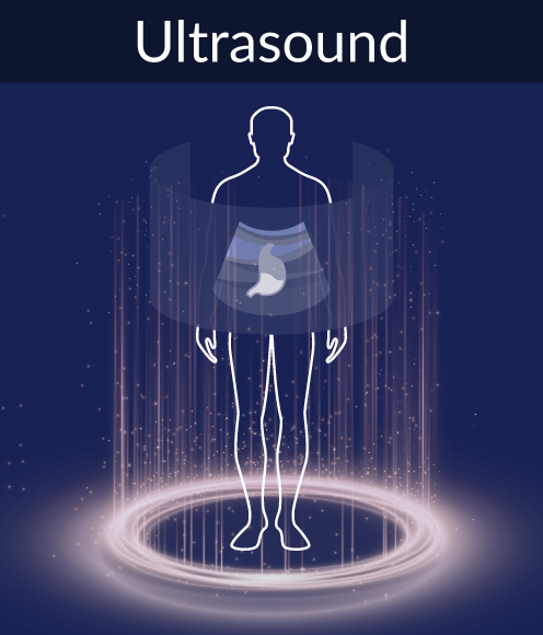 Ultrasound feature graphic from the lobby in 3D Organon's anatomy software
