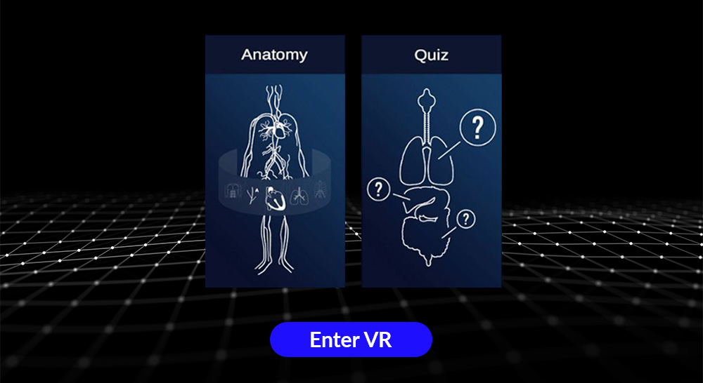 Exciting News: Announcing 3D Organon WebXR!