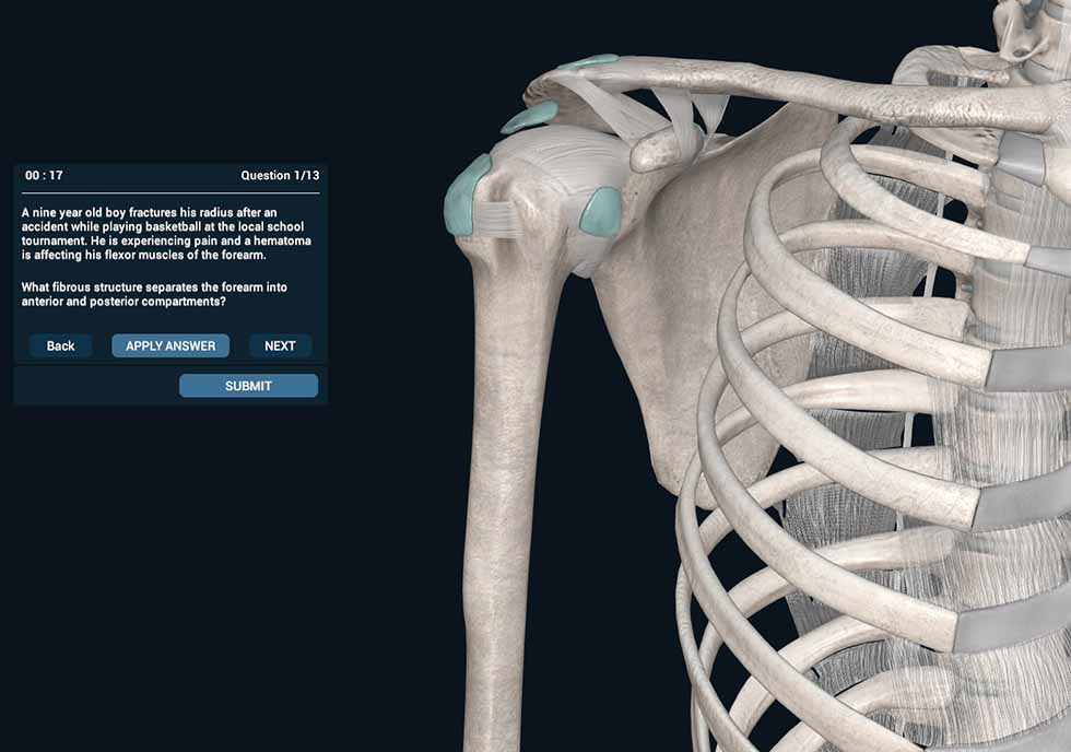 Quiz module demonstration on 3D Organon Anatomy Software