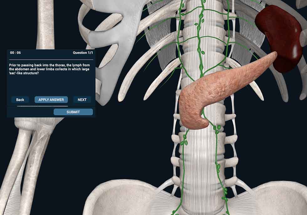 Quiz module demonstration on 3D Organon Anatomy Software