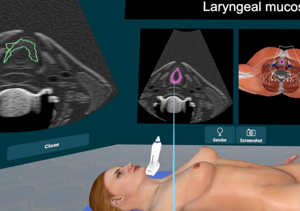 3D Organon Ultrasound simulator demonstration 