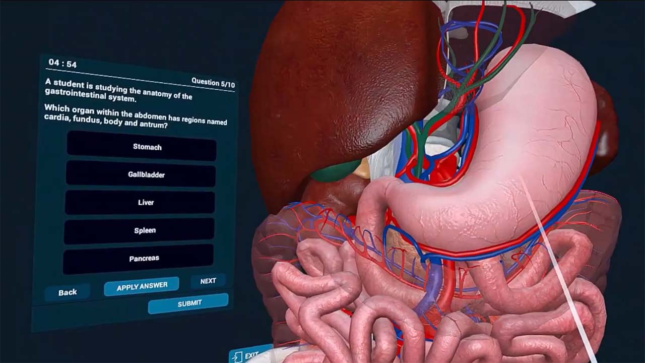 Immersive anatomy quiz