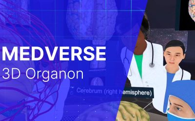 3D Organon Modules: Medverse