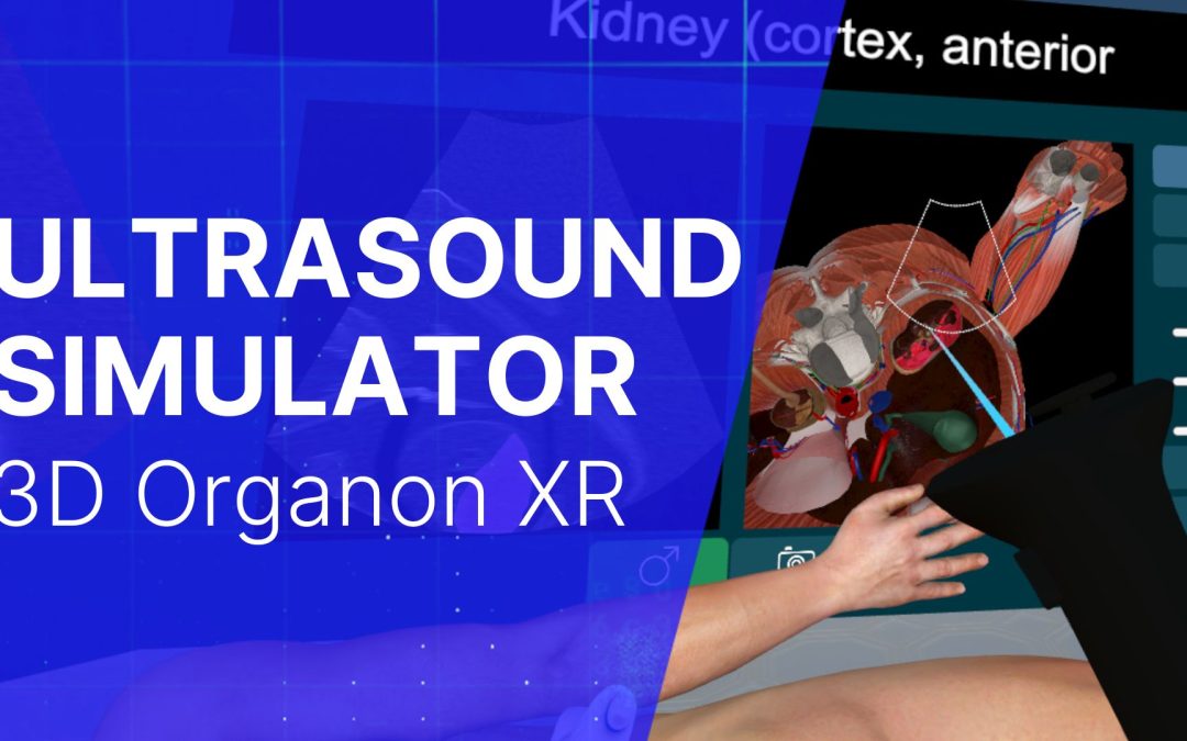 3D Organon Modules: Ultrasound XR Simulator