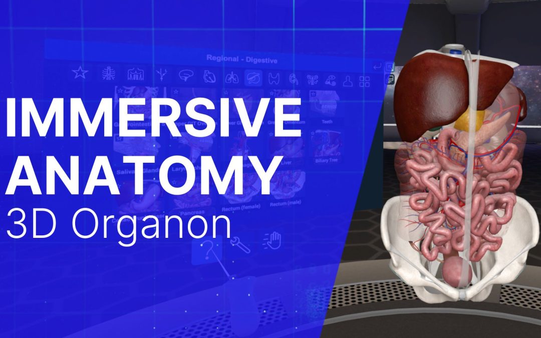 3D Organon Module: Immersive Anatomy