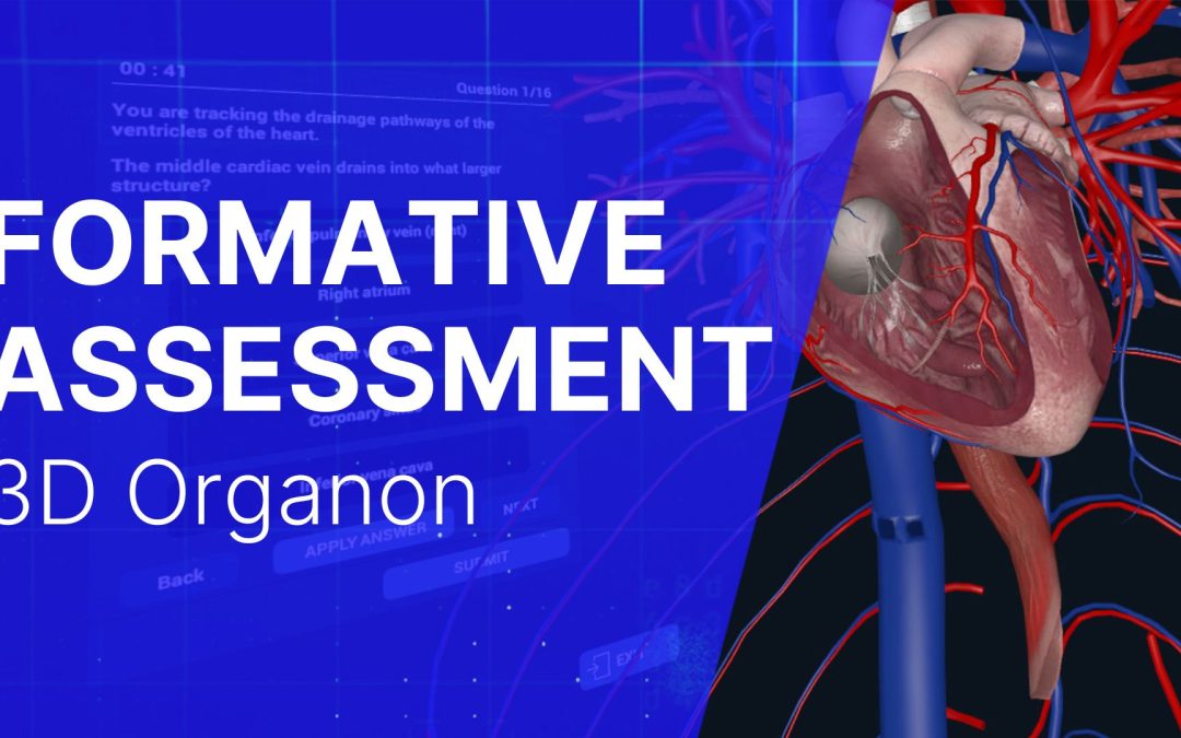 3D Organon Modules: Formative Assessment / Quiz