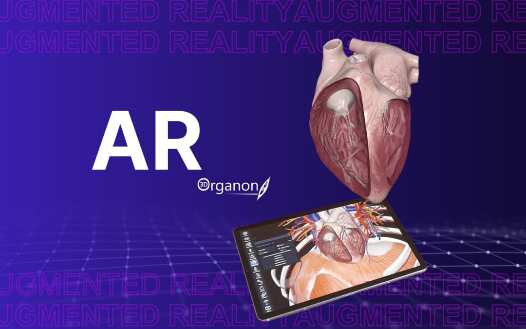 3D Organon’s Cutting-Edge Augmented Reality (AR) Feature