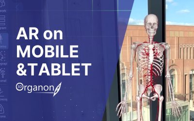 3D Organon AR on Mobile & Tablet Devices