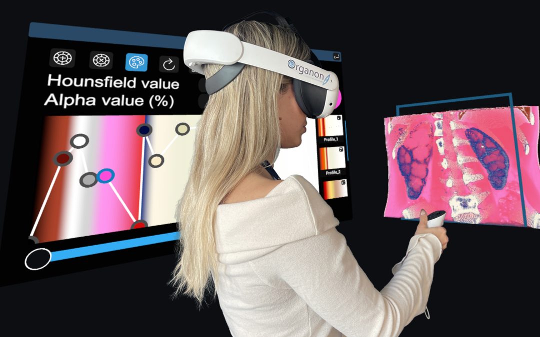 3D Organon XR Imaging on Standalone VR Headsets