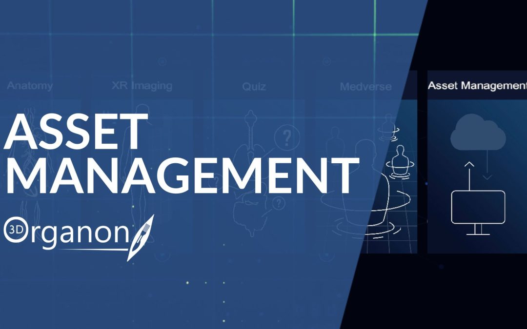 Introducing the New 3D Organon Feature: Asset Management