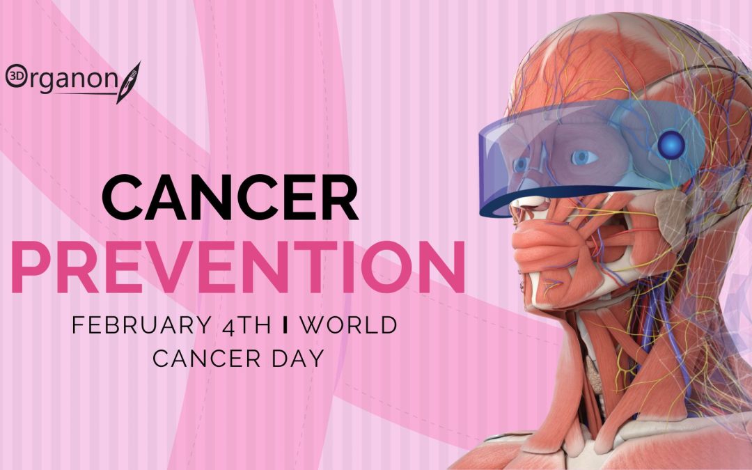 3D Organon Buddy stands alongside a powerful message for Cancer Prevention Month and World