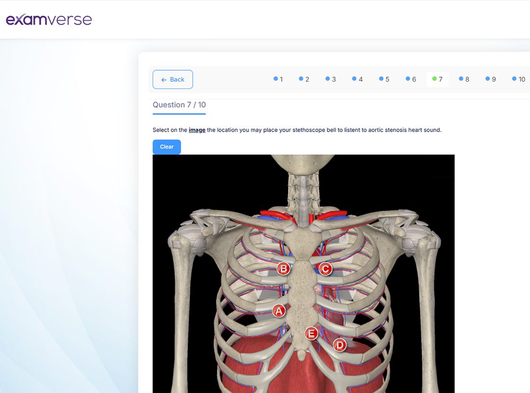 3D Organon Ultrasound simulator demonstration 